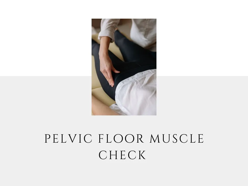 pelvic floor muscle check