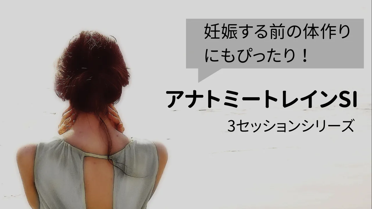 立花杏衣加　妊娠前のからだづくり 立花杏衣加 妊娠前のからだづくり